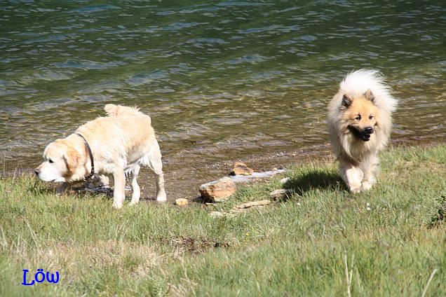 Juli 2009: Rund um den See